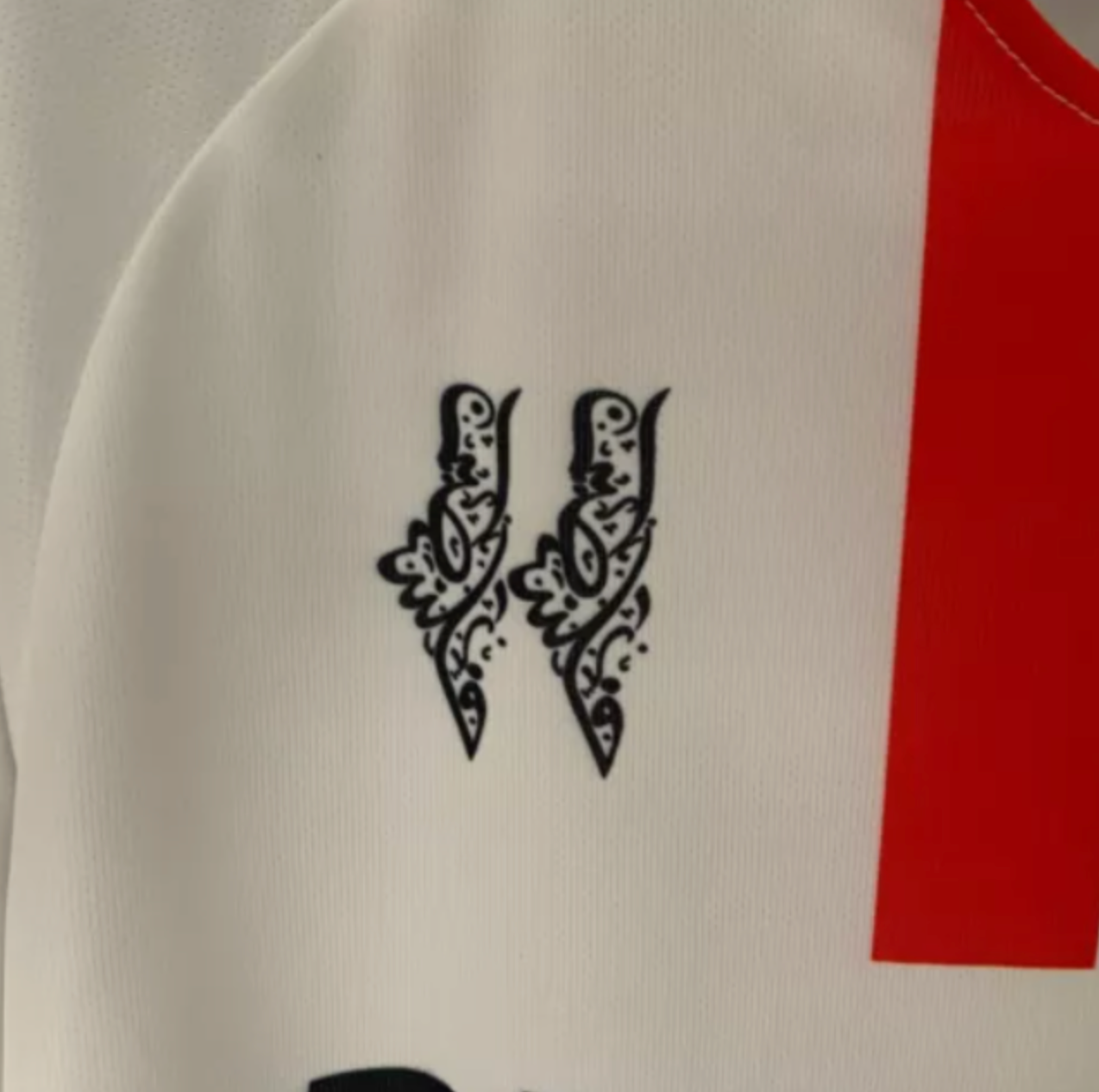 Palestine Jersey 23/24