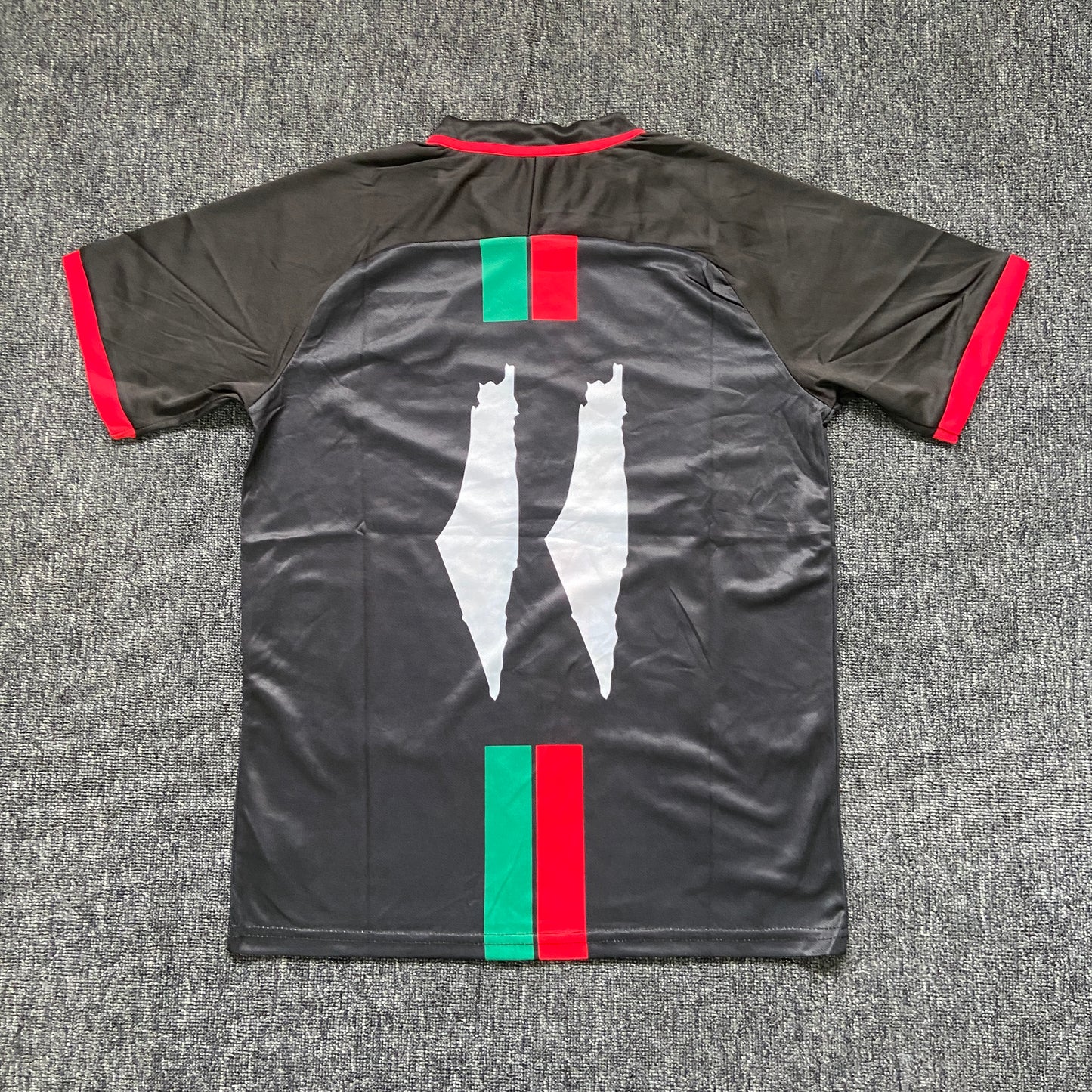 Palestine 2024 jersey