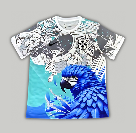 Brazil Concept 24/25 Jersey